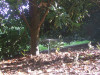 DSCF2048